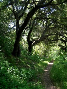 BB Trail - Blue Canyon Trail
