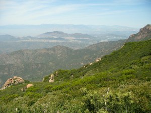 BB Trail - view of Sycamore Canyon from Chamberlain Trail