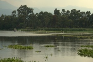Parque Ecologico de Xochimilco 74