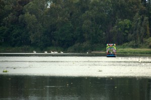 Parque Ecologico de Xochimilco 75