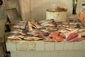 Mercado de Xochimilco 6