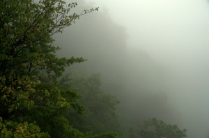 Cumberland Gap NHP 18 - Pinnacle Overlook