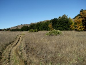 Near Liberty Canyon 4