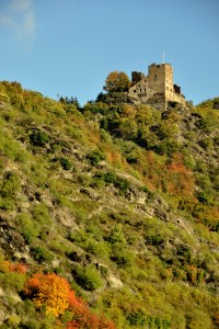 Rhine River cruise 38