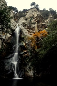 Sturtevant Falls hike - Nov 2011-10