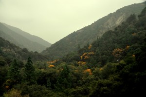 Sturtevant Falls hike - Nov 2011-4