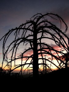 Tahquitz Peak hike - October 2009-30