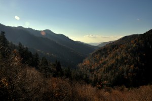 GSMNP 58