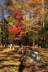 GSMNP 77 - Trentham Cemetery