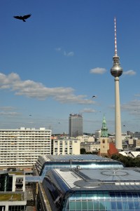 Berliner Dom 41