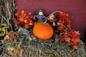 Downtown Rogersville 25