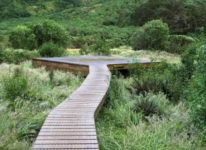 Day 3 MT 12 - helipad