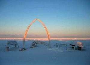 download whale bone arch