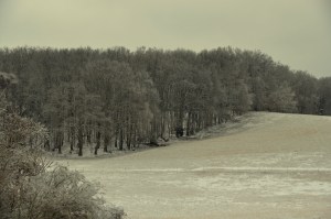 Snowpocalypse 2015-15