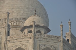 Taj Mahal 44