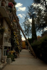 Panteon Municipal 10