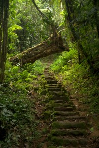 Stairs to Ciudad Perdida 4