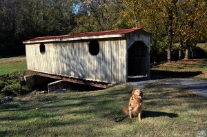 Covered bridge 4