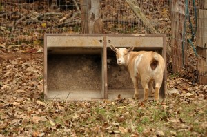 Museum of Appalachia 107