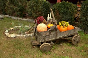 Museum of Appalachia 5