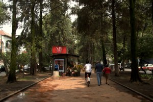 Polanco 7 - Avenida Horacio