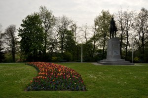 Tulip garden 3