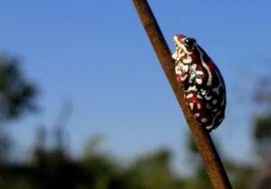 Delta Day 1-40 - ZOOM