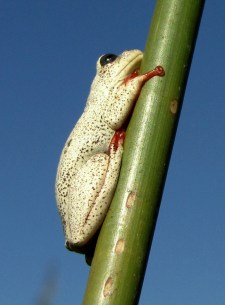 Delta Day 1-60 - ZOOM