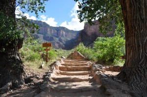 Day 4 Grand Canyon 71