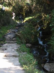 day-2-inca-trail-8
