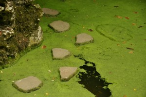 quinta-da-regaleira-57