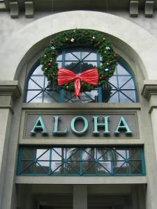 00400268912620110405061144583