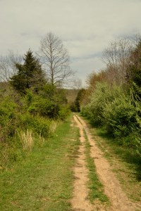 panther-creek-sp-6-panther-path-trail